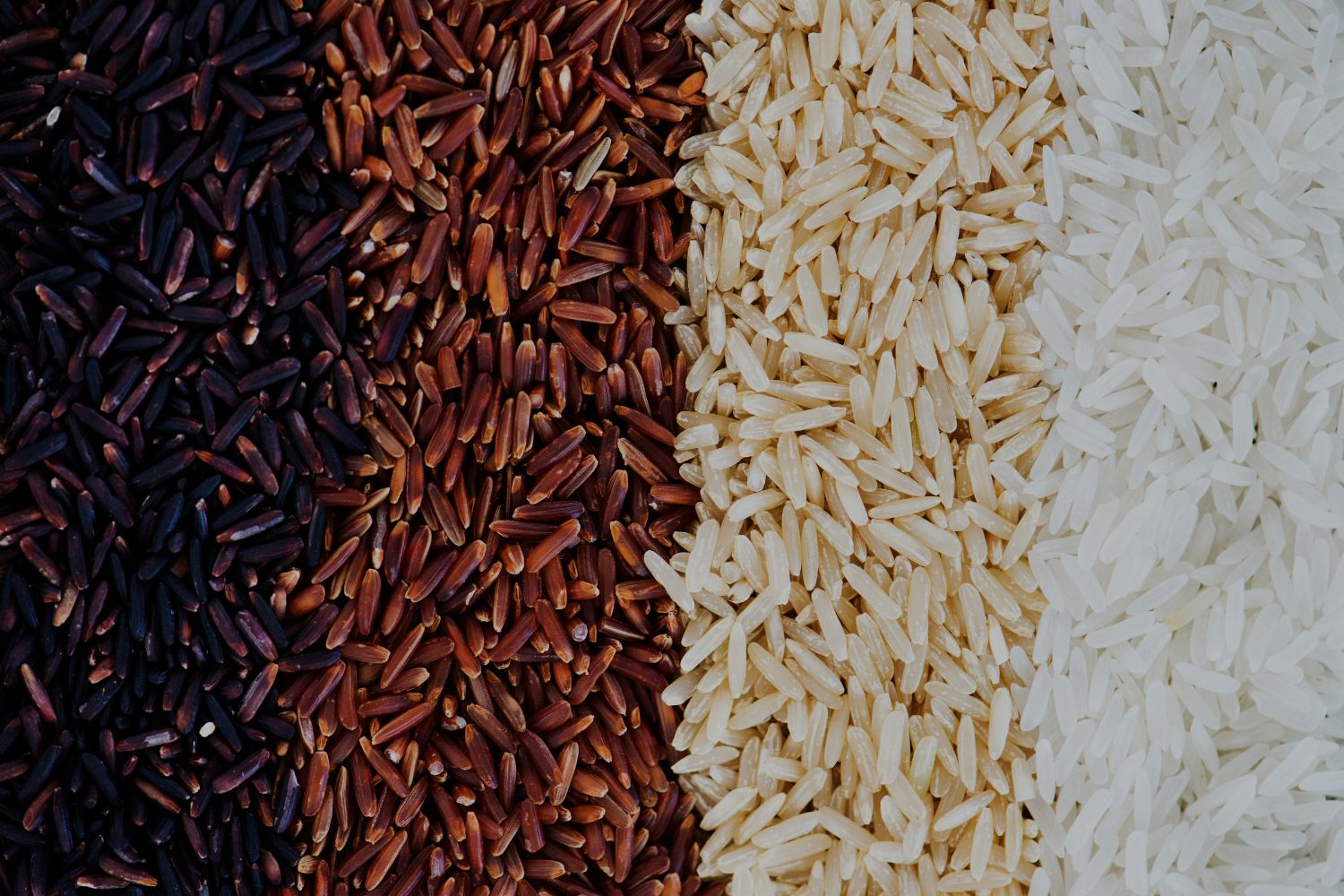 Spices
